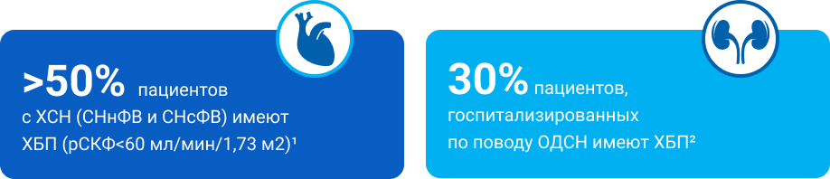 Пациент с сочетанной патологией ХСН и ХБП