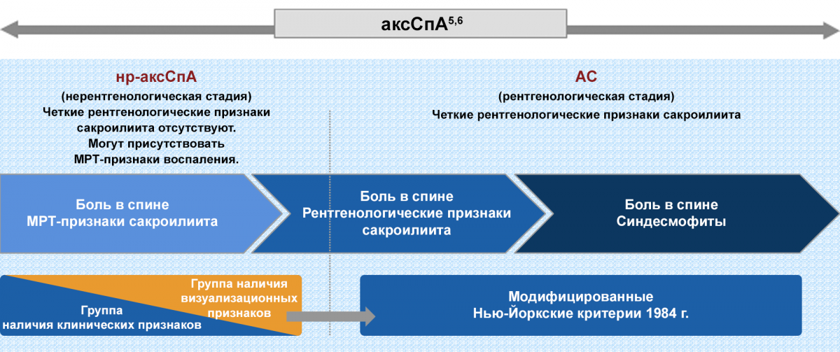 Спектр аксиального спондилоартрита (аксСпА) представлен формой без рентгенологических признаков (нр-аксСпА) и формой с рентгенологическими признаками (АС)