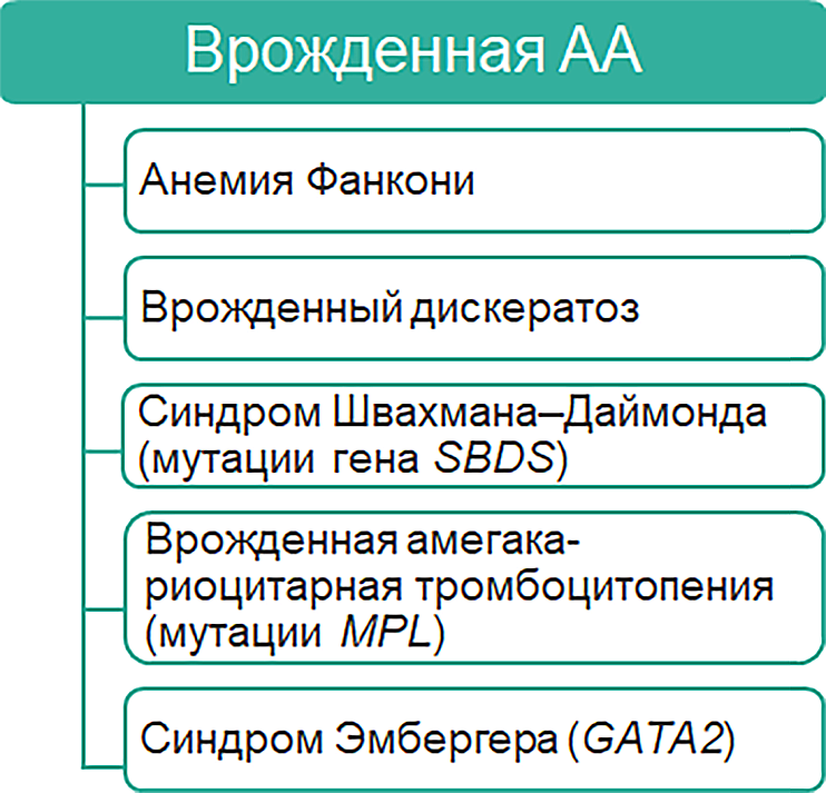 Классификация апластических анемий (АА)