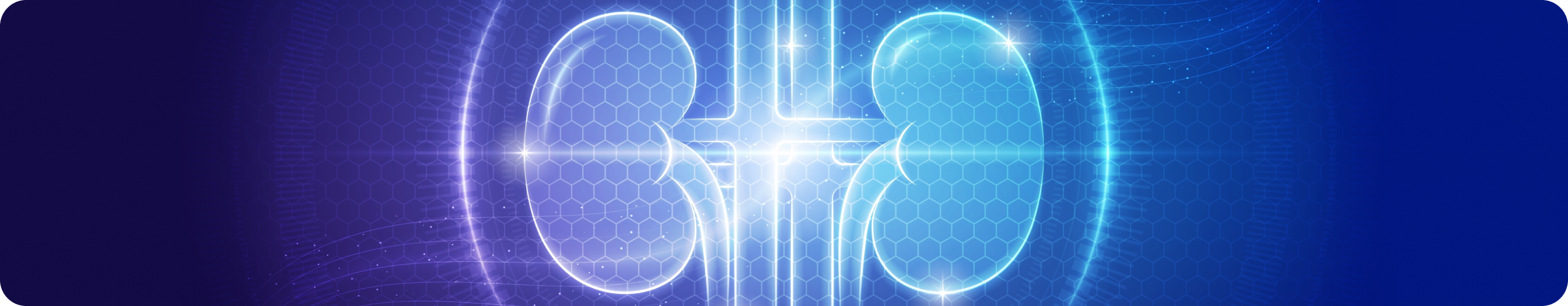 banner (22).png