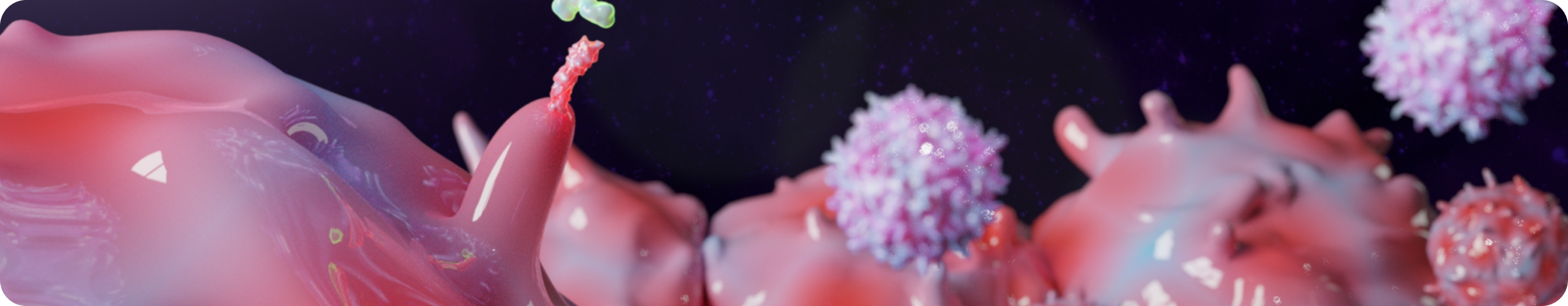 banner (40).png
