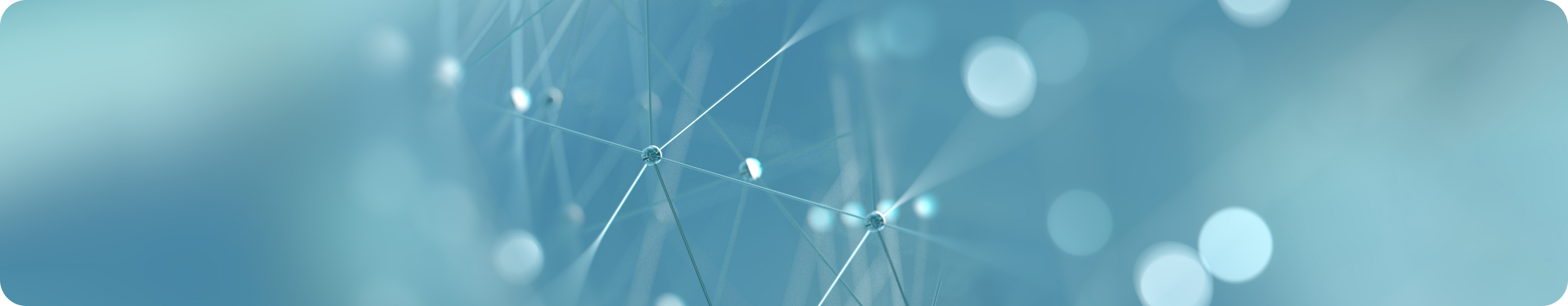 banner (42).png