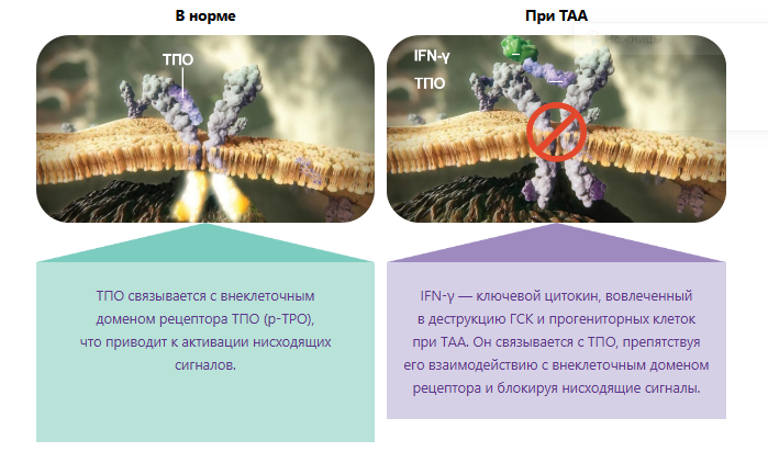 Снимок.PNG