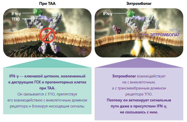 Снимок.PNG