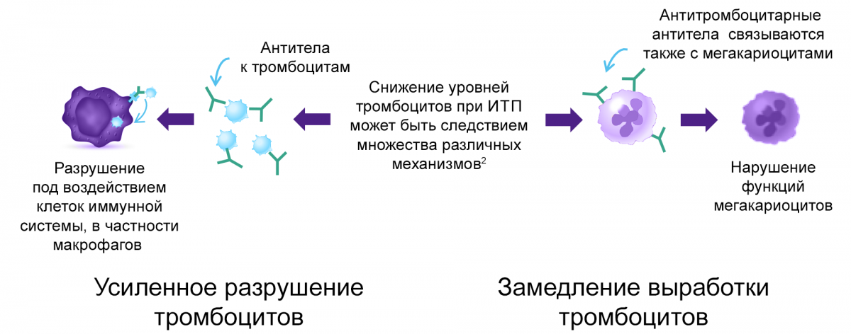 Усиленное разрушение тромбоцитов