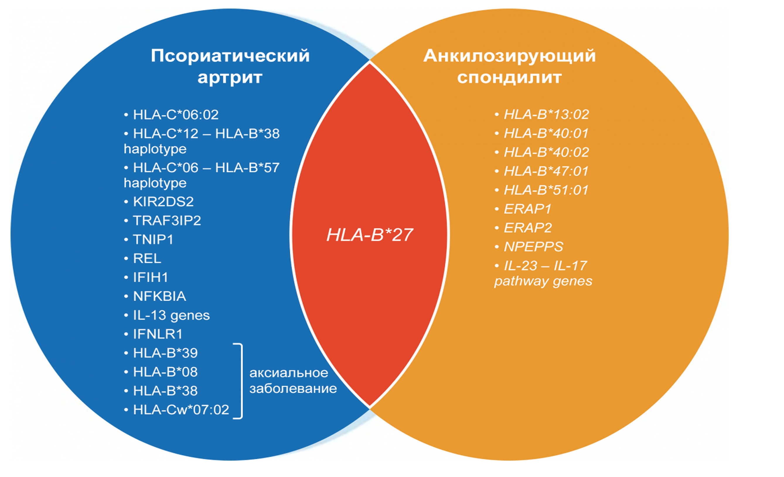 Frame 24062082.png