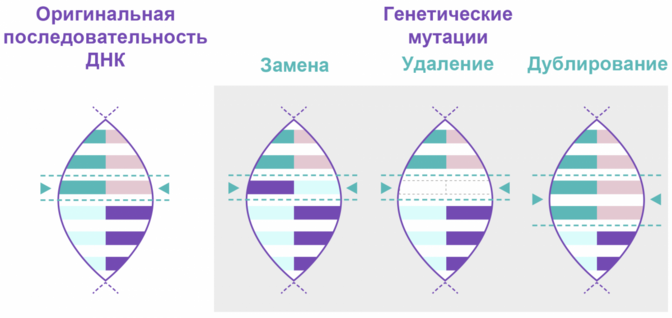 Что такое генетические заболевания