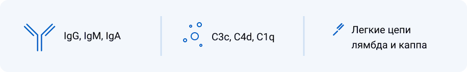 Frame 24061806