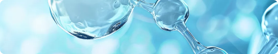 banner (31).png