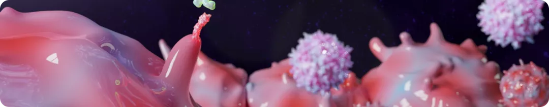 banner (40).png