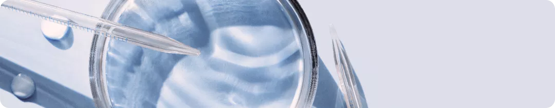banner (9).png