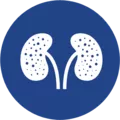 zan_icon_7