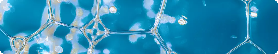 banner (46).png