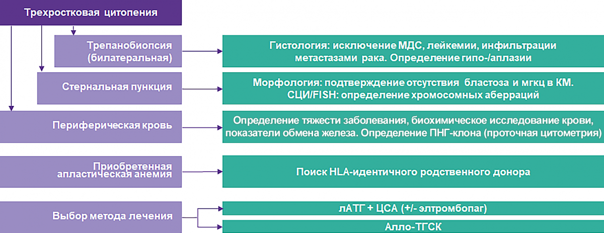 Алгоритм диагностики и выбора метода лечения больных АА