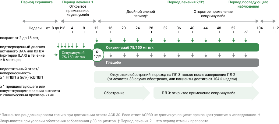 Дизайн исследования
