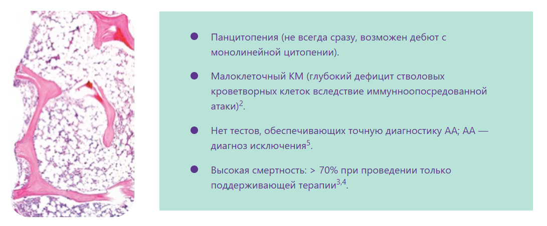 Рисунок из Olnes M.J. et al. N Engl J Med 2012;367:11–19.