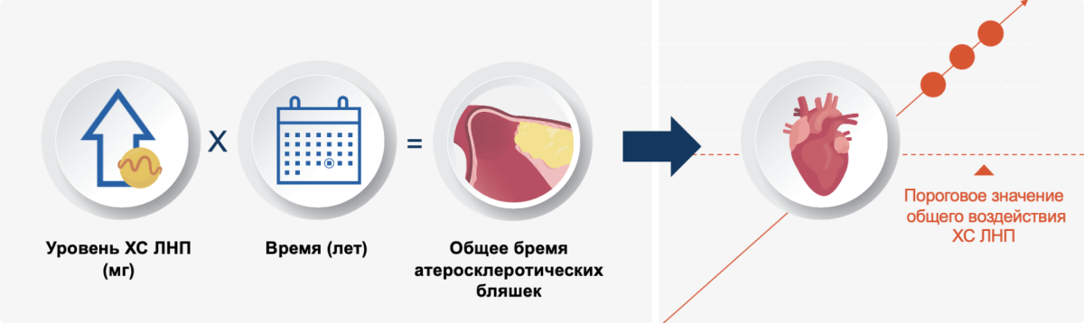 Риск ИМ удваивается при росте бремени атеросклеротических бляшек на каждые 1250 единиц (мг/лет)