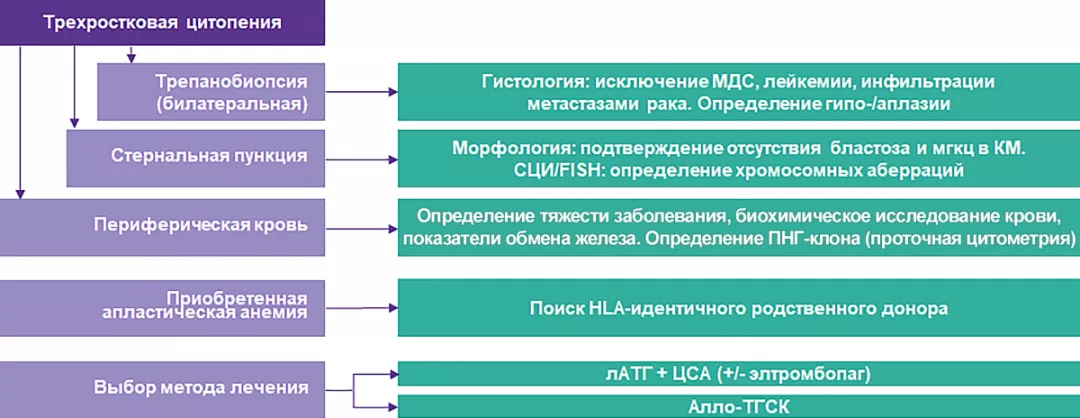 Алгоритм диагностики и выбора метода лечения больных АА