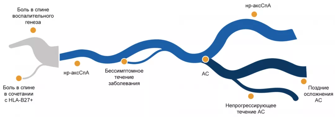 Клиническое течение нр-аксСпА изучено не до конца в связи с гетерогенностью заболевания и скачкообразным течением