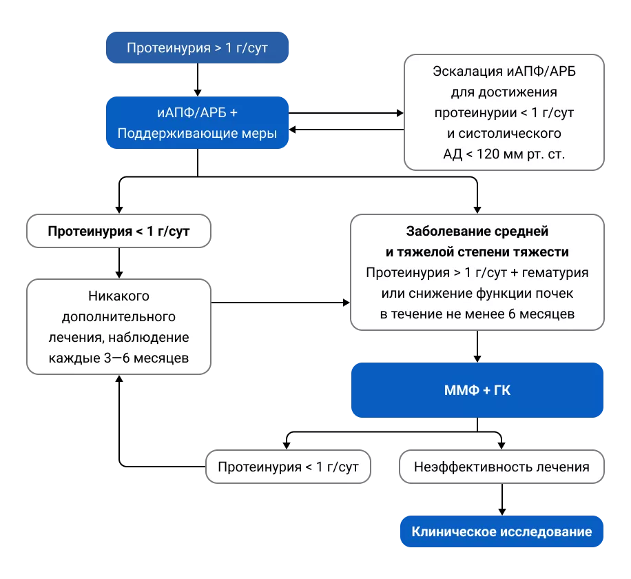Краткий алгоритм лечения IgAN