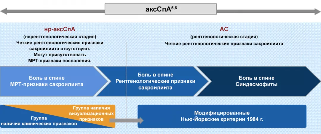 Спектр аксиального спондилоартрита (аксСпА) представлен формой без рентгенологических признаков (нр-аксСпА) и формой с рентгенологическими признаками (АС)