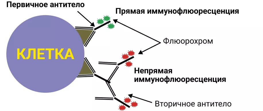 203696-image-2.png