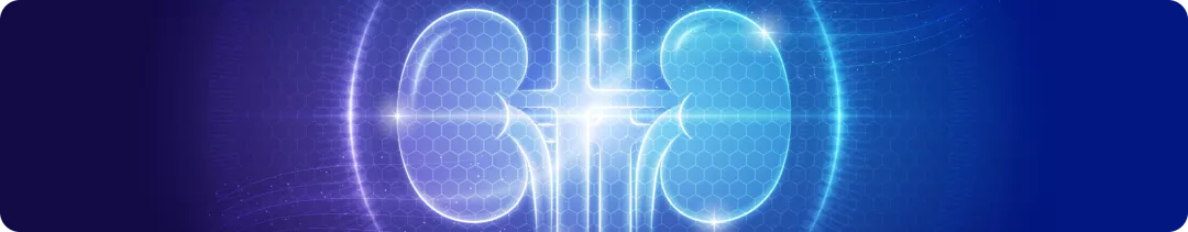 banner (22).png