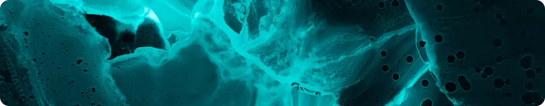 banner (34).png