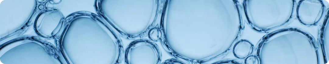 banner (43).png