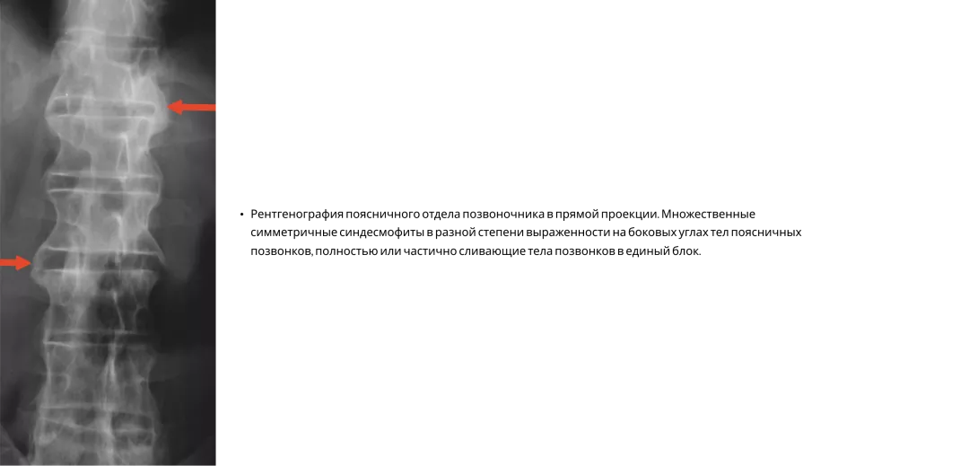 Frame 24061578.png