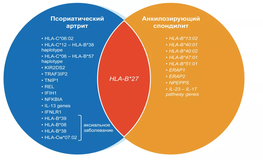 Frame 24062082.png