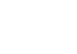 Vector
