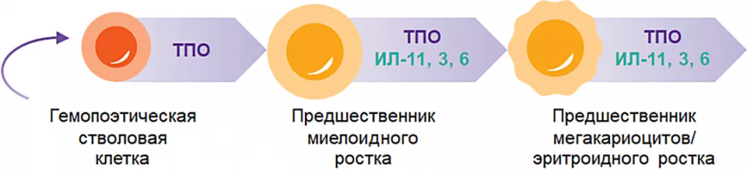 mechanics_scheme_1.png
