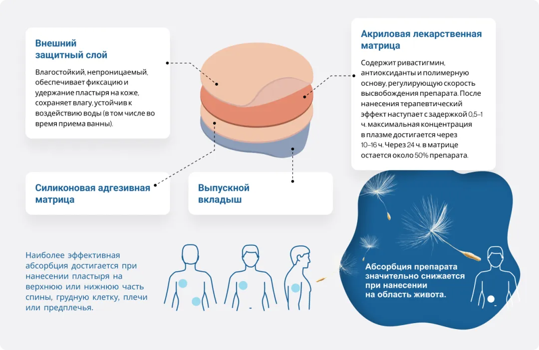 Абсорбция препарата значительно снижается при нанесении  на область живота.
